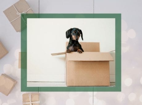 12 Ads of Christmas: 11 Boxes Shipping