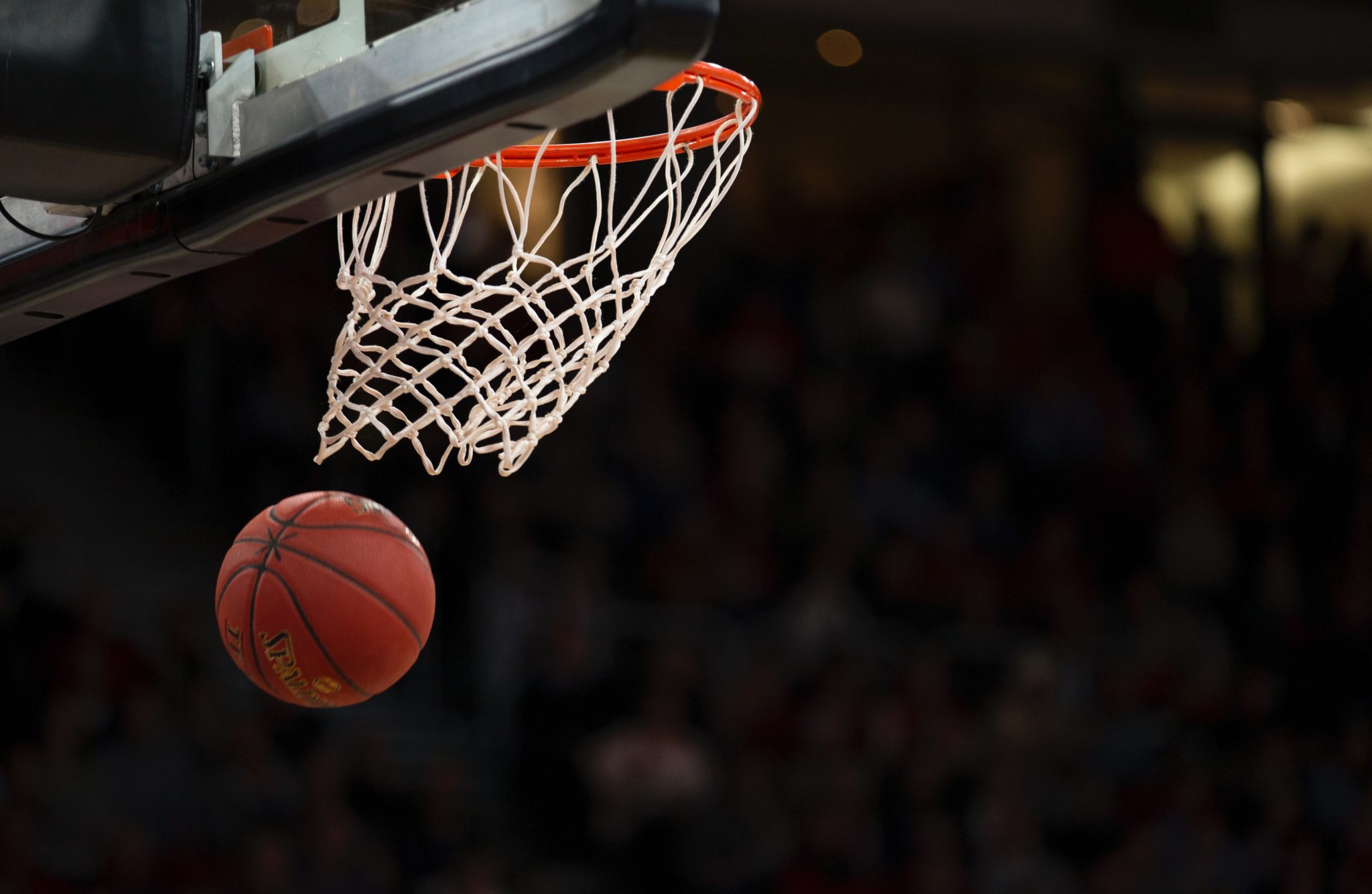 Basketball and hoop