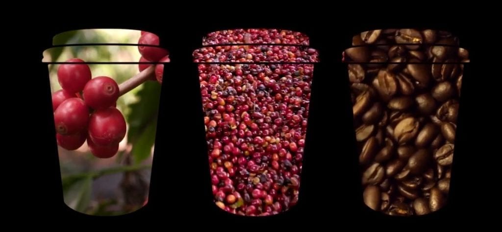 what\'s in your cup ad