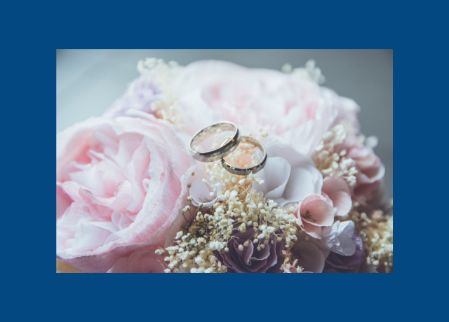 David's Bridal & Zola