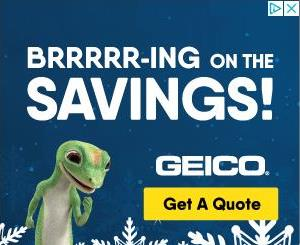 geico ad brrrring on the savings